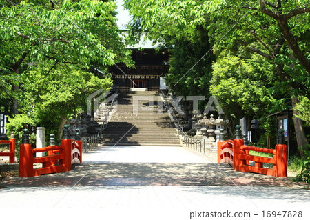 Sendai Toshogu 16947828