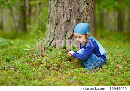 Adorable girl picking foxberries in the forest Adorable girl picking foxberries in the forest 16948053