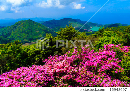 Miyama Kirishima of Nita Pass 16948697