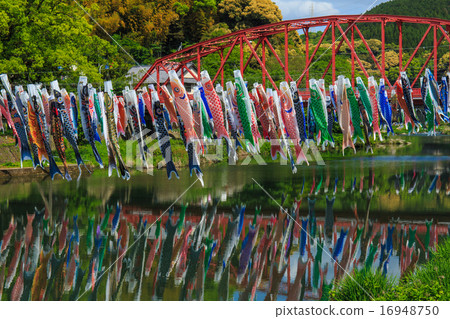 Carp streamers in Kawakami Gorges Carp streamers in Kawakami Gorges 16948750