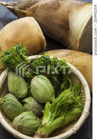 Spring wild plant Spring wild plant 16949264