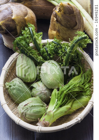 Spring wild plant 16949281