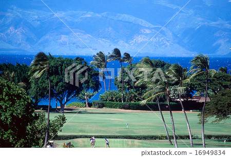 Golf course Golf course 16949834