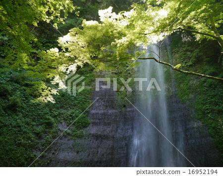 Takeda's Kiyotaki 16952194
