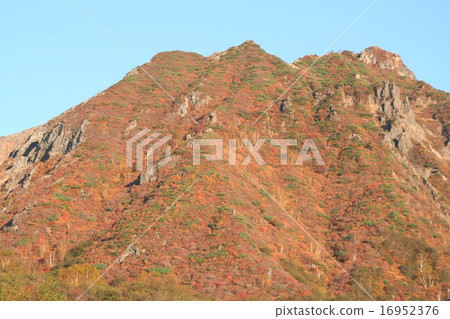 那須旭的秋葉 16952376