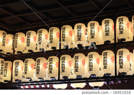 Tai Lu Tai Lu 16952838
