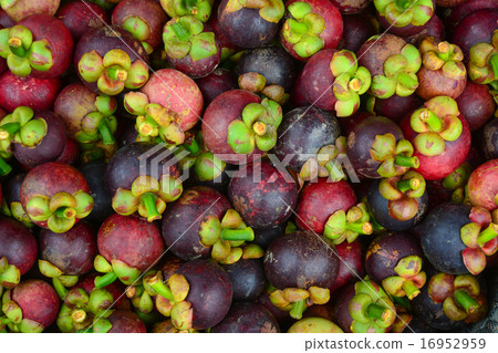 Fresh organic mangosteen fruits at the market 16952959