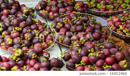 Fresh organic mangosteen fruits at the market 16952960