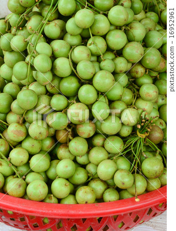 Bunch of Burmese grape at the market 16952961