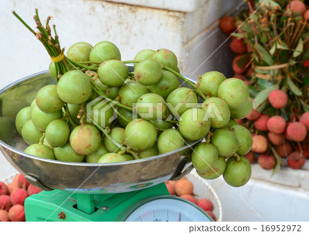 Bunch of Burmese grape at the market  16952972