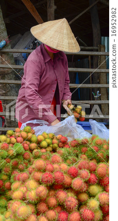 Vietnamese woman selling many tropical fruits Vietnamese woman selling many tropical fruits 16952982