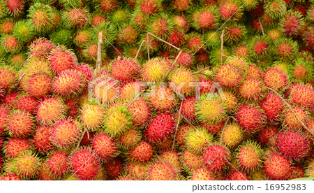 Rambutan fruits at a market in Mekong Delta 16952983