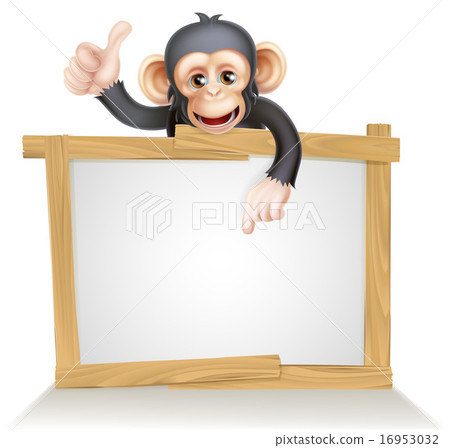 Monkey Sign 16953032