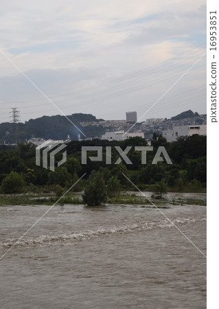 Tama river increased turbidity abnormal weather 16953851