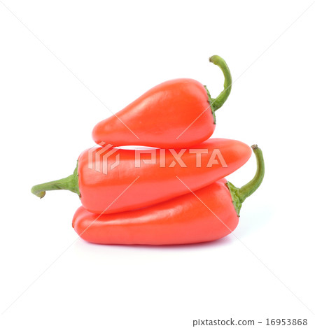 red paprika pepper isolated red paprika pepper isolated 16953868