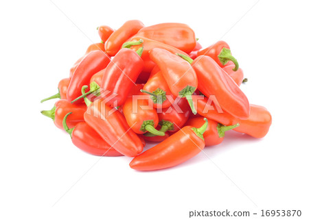 red paprika pepper isolated 16953870