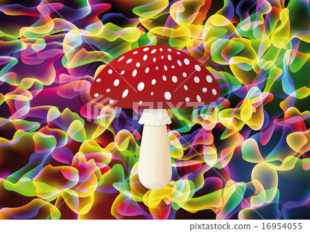 Red mushroom Red mushroom 16954055
