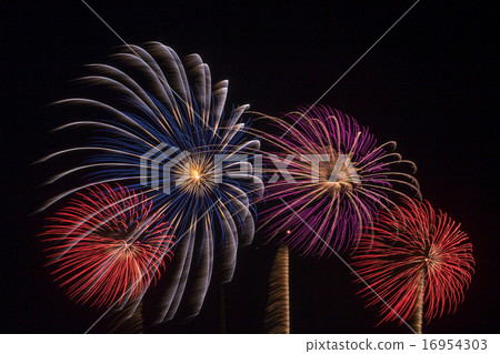 煙花(夏天) 煙花(夏天) 16954303
