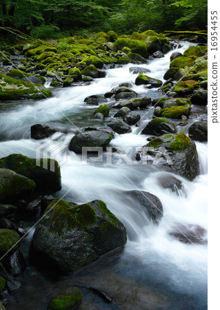 Mountains stream near Nonshinawa spring (summer) Mountains stream near Nonshinawa spring (summer) 16954455