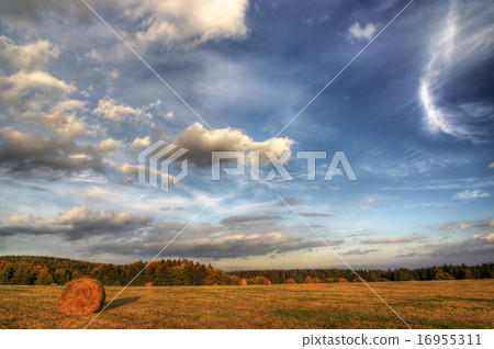 summer - haymaking time summer - haymaking time 16955311