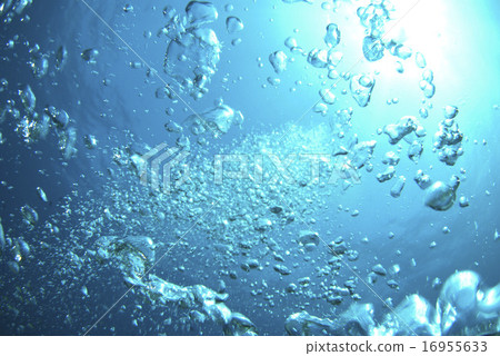 太陽從水中升起 16955633