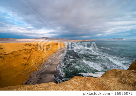 Peruvian Coastline, Paracas National Reserve 16956072