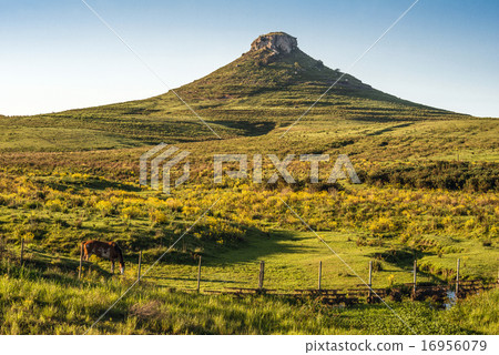 Idyllic landscape of Batovi Hill, Tacuarembo Idyllic landscape of Batovi Hill, Tacuarembo 16956079