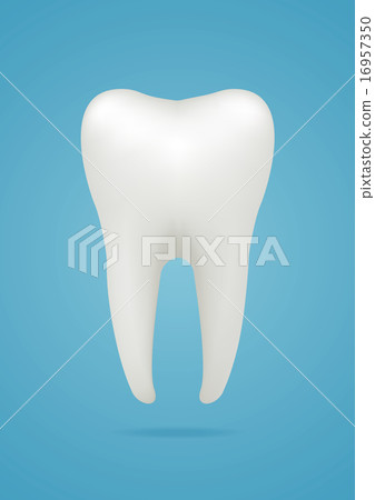 Tooth icon Tooth icon 16957350
