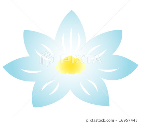 Lotus flower Lotus flower 16957443