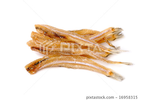 The stockfish isolated on white The stockfish isolated on white 16958315