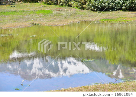 Mountain of snowfall reflected on the summer floating island of Ikeda 16961094