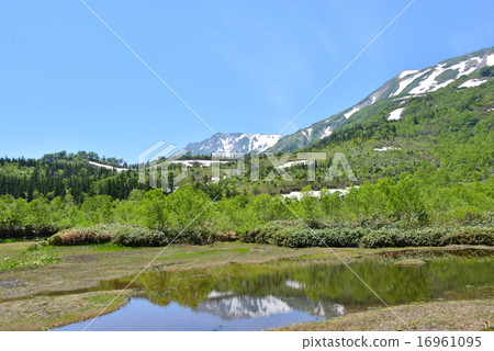 Summer Tsugaike Nature Park 16961095