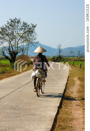 Vietnamese woman riding bicycle 16961528