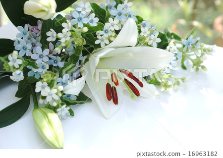 夏季花束 16963182