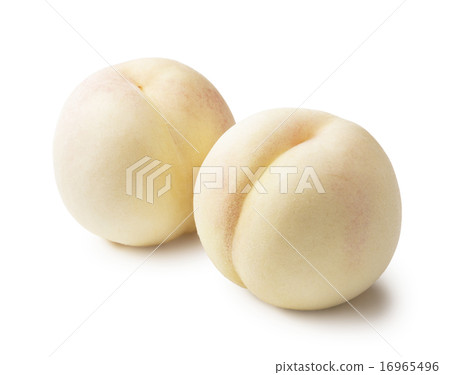 白桃 白桃 16965496