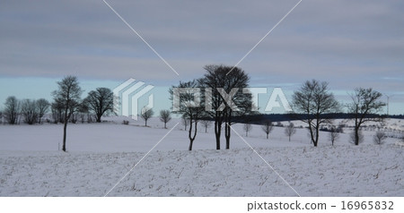 winter landscape and gloomy sky 16965832