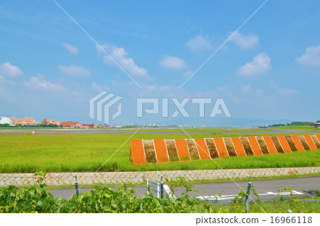 大阪國際機場（伊丹機場）的風景 16966118