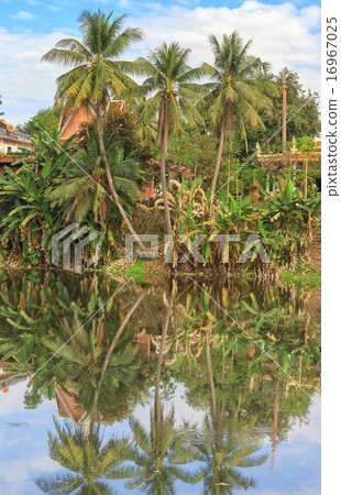 asian tropical landscape asian tropical landscape 16967025