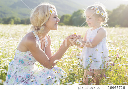 Happy family  in field of daisy flowers,summer time 16967726