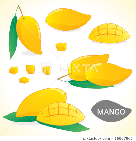 Set of mango in various styles vector format 16967965