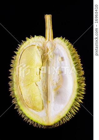 Durian fruit basket on a black background 16968410