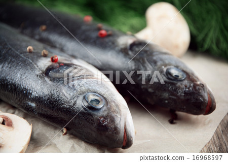 Raw seabass fish on the wooden board 16968597