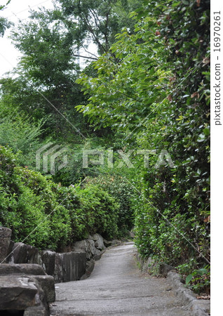 Stone steps of Onomichi 16970261