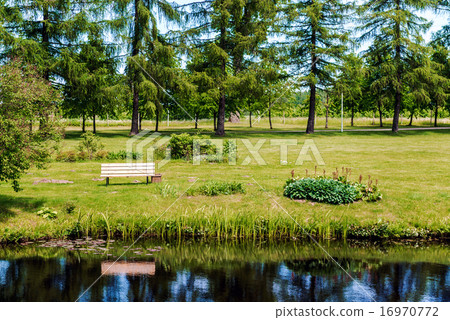 Picturesque lakeshore in summertime 16970772
