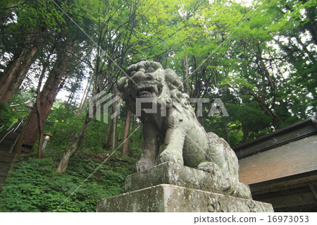 Togakushi Shrine Treasure Co. 16973053