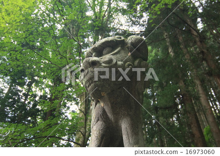 Togakushi Shrine Treasure Co. 16973060