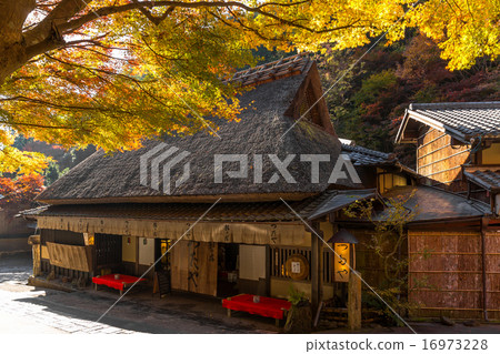 佐賀鳥居 -  Tsutaya 16973228