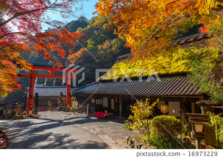 佐賀鳥居 - 平野屋 16973229