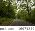 Togakushi road 16973249