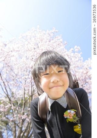 Cherry blossoms and first grade (looking into) Cherry blossoms and first grade (looking into) 16973536
